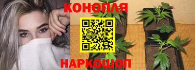 гашик Гагарин
