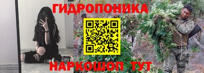 гашик Гагарин