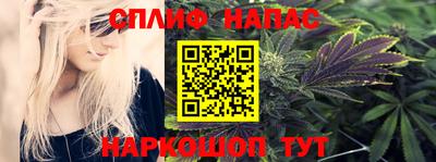 jwh Гатчина