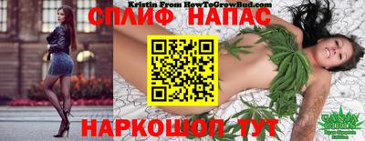 jwh Гатчина
