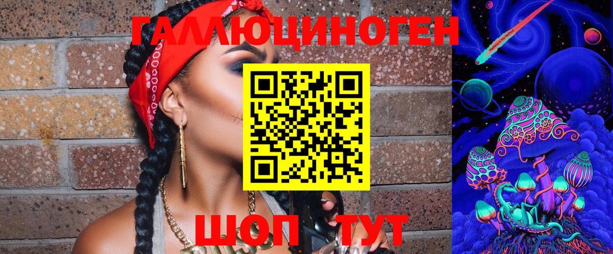 Псилоцибиновые грибы Cubensis Нурлат