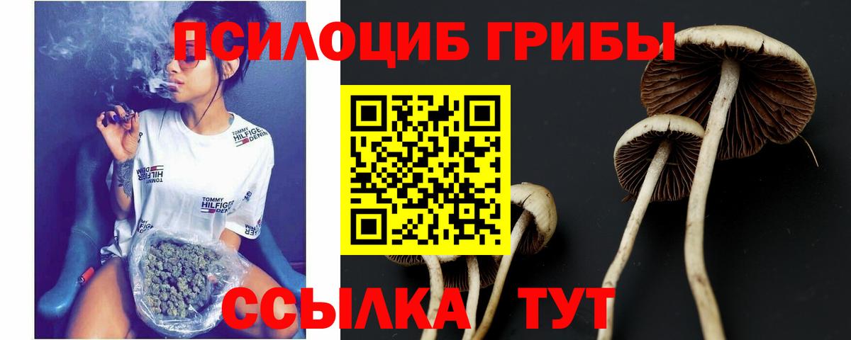 Галлюциногенные грибы прущие грибы  Вход с VPN  Нурлат 